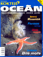 Oceán Ledový příliv 2006